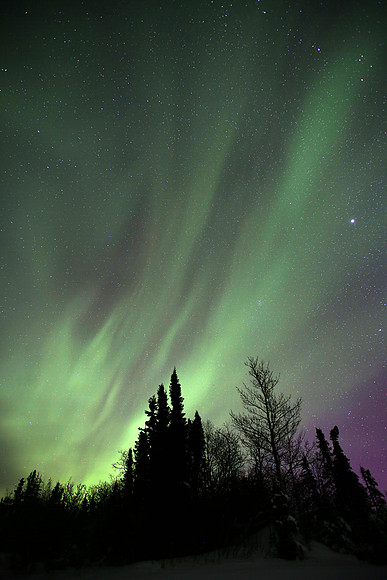 Aurora, Cleary Summit, Alaska