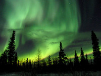 Aurora 1