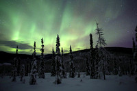 Aurora, Chatanika Valley, Alaska