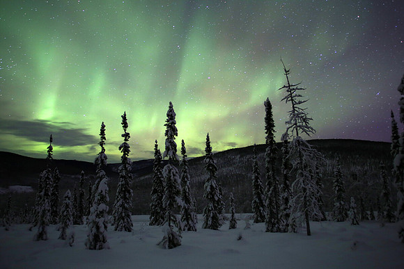 Aurora, Chatanika Valley, Alaska