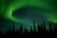 Forest Aurora, Churchill