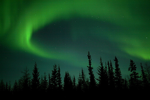 Forest Aurora, Churchill