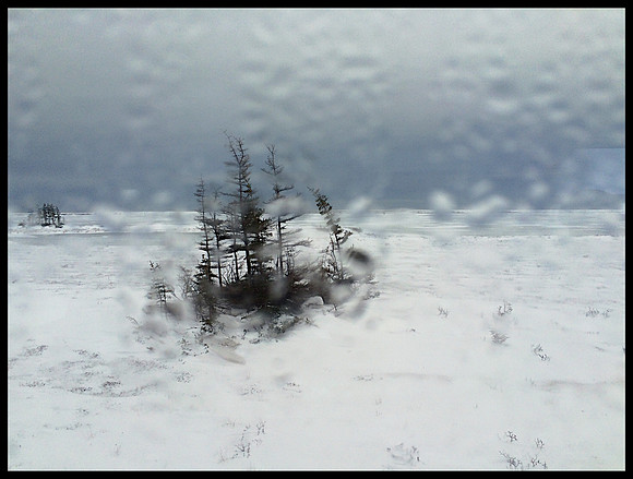 Tundra View, Churchill Manitoba