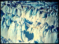 Patterns in Nature #3