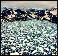 July Ice, East Greenland