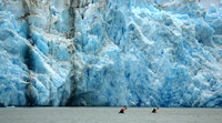 Kayaking, Tracy Arm Alaska