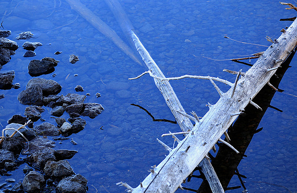 Water Logs, Lewis Lake