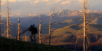Yellowstone Photographer