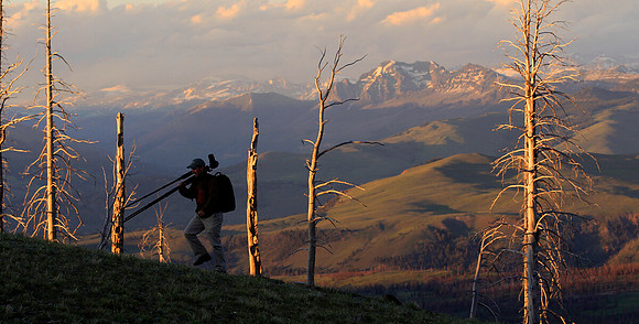 Yellowstone Photographer