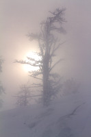 Frozen Sun