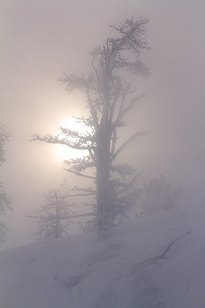 Frozen Sun