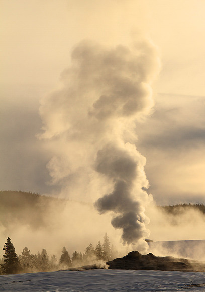 Morning Light, Old Faithful Geyser