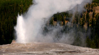 Old Faithful Geyser