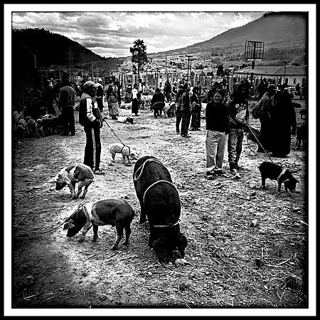 Market Day, Otavalo