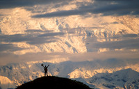 Travis Cole, Koyukon Guide and Denali