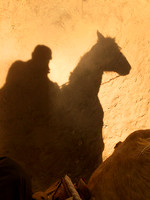 Self Portrait, Mexico
