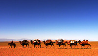 Caravan, Mongolia