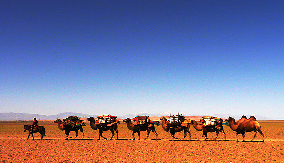 Caravan, Mongolia