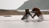 Conflict