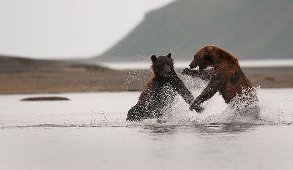 Conflict