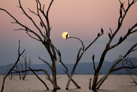 Lake Kariba, Zimbabwe