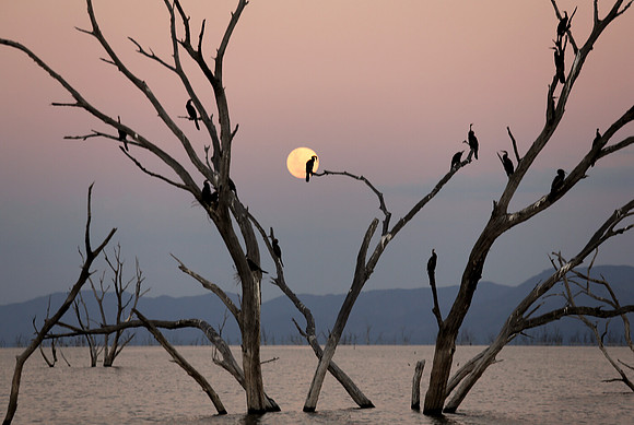Lake Kariba, Zimbabwe