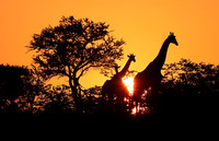 Sunrise, Botswana