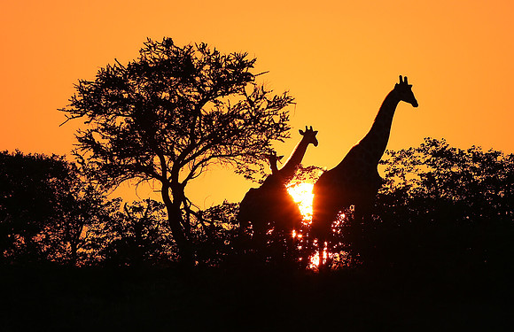 Sunrise, Botswana