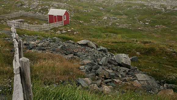 Newfoundland Farm