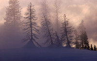 West Thumb, Yellowstone N.P.