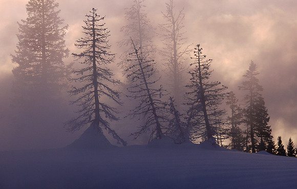 West Thumb, Yellowstone N.P.