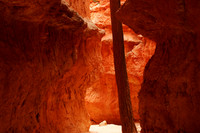 Wall Street, Bryce N.P.