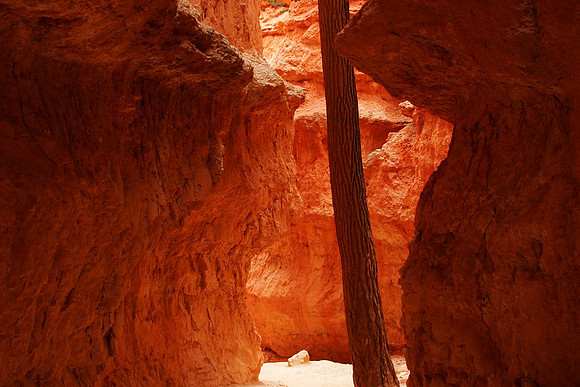 Wall Street, Bryce N.P.