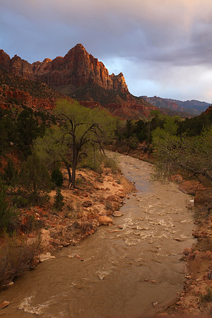 Virgin River, Zion N.P.