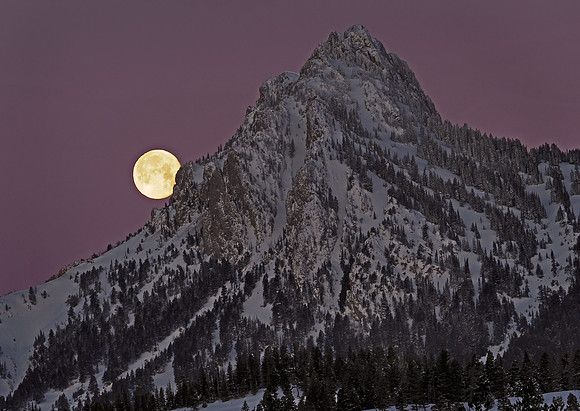 Montana Moonset