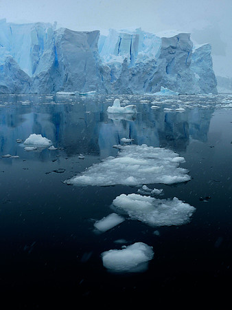 Cool Ice, Paradise Bay, Antarctica