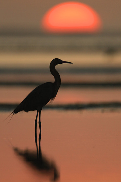 Sunset, Florida