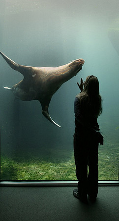 Alaska SeaLife Center