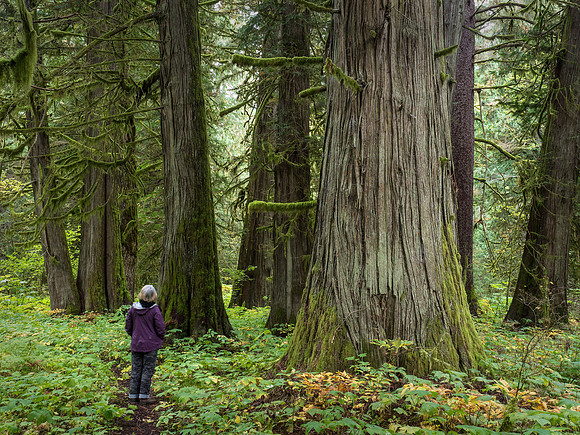 Standing among the giants.
