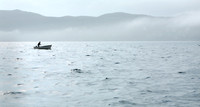 Cod Jigging, Newfoundland