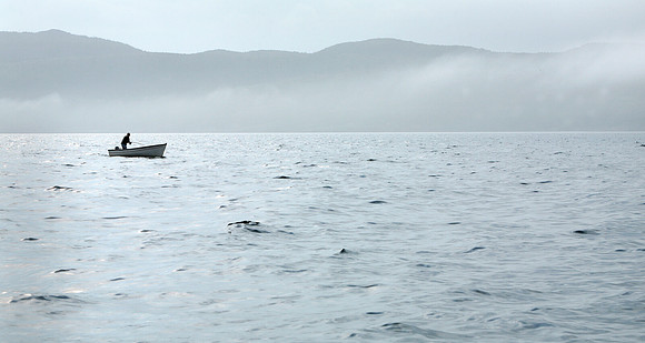 Cod Jigging, Newfoundland