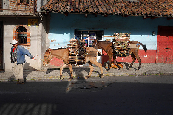 Firewood Delivery, Mexico