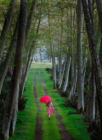 Down the Lane