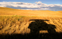 Open Road, Montana Style