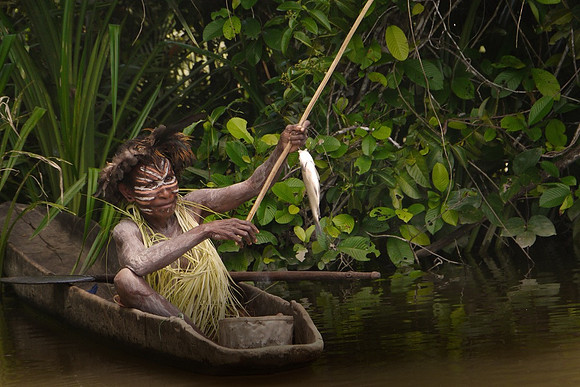 Karawari Fishing