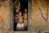 Woman's House PNG